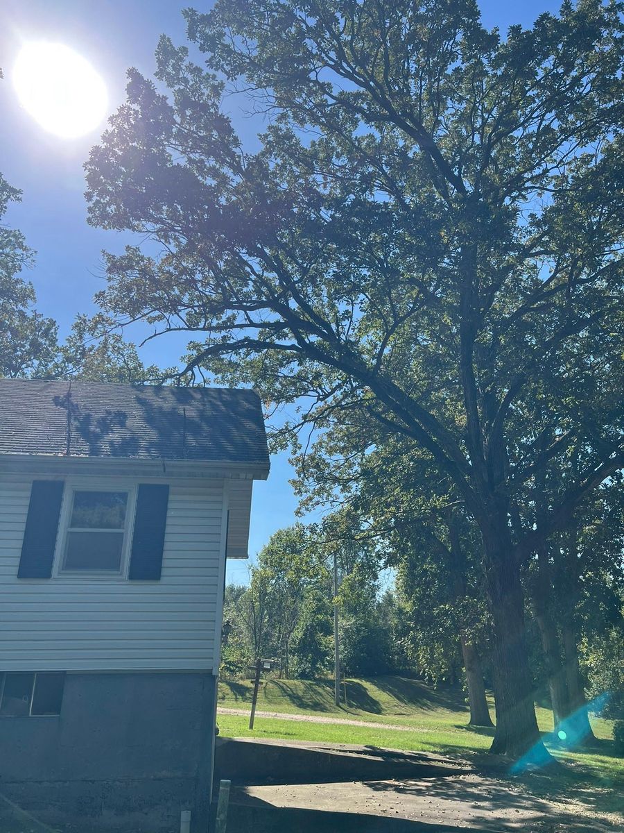 Tree Removal for Baker Professional Services LLC in Shelbina, MO
