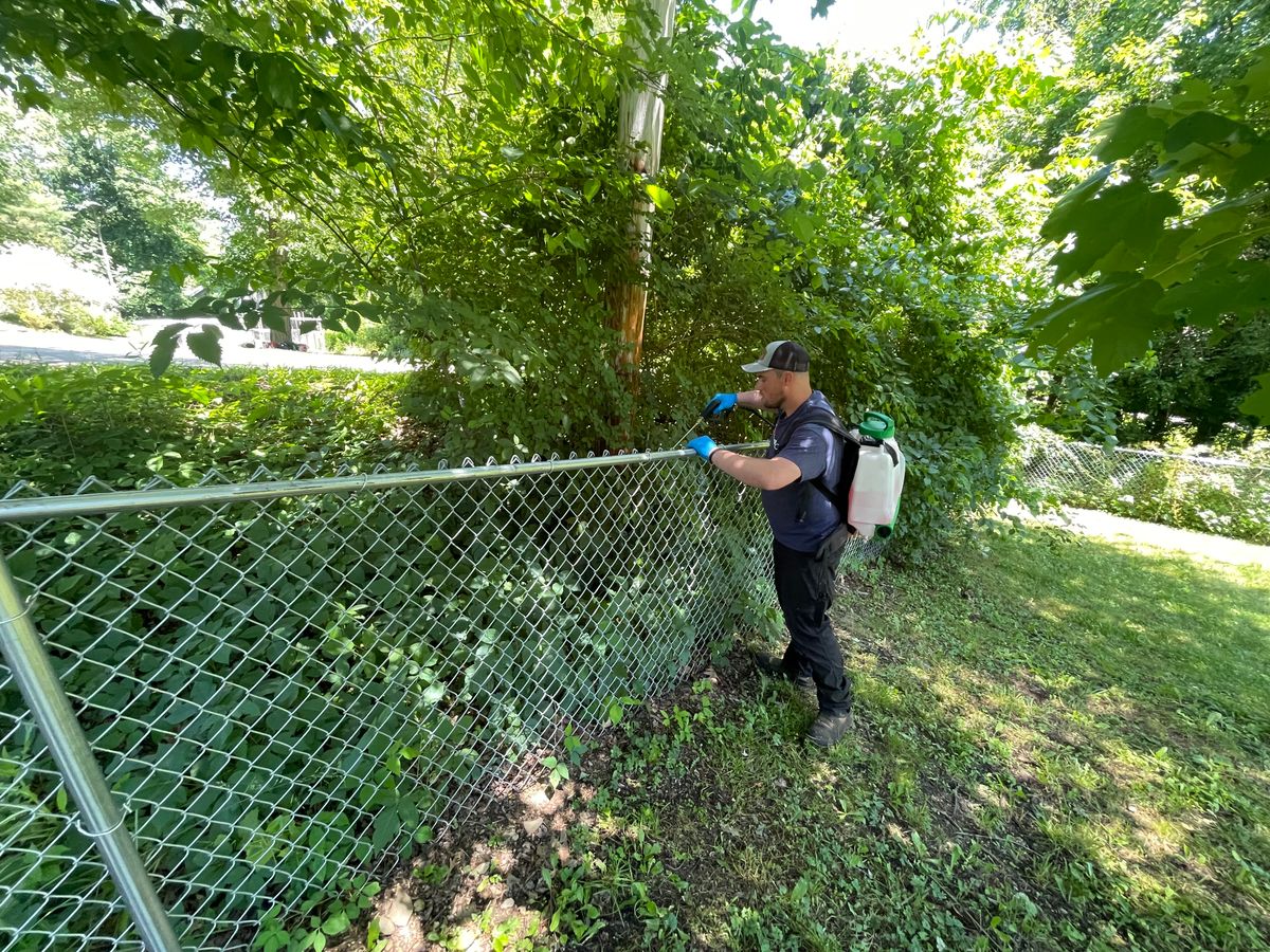 Weed Control for Perillo Property maintenance in Hopewell Junction, NY