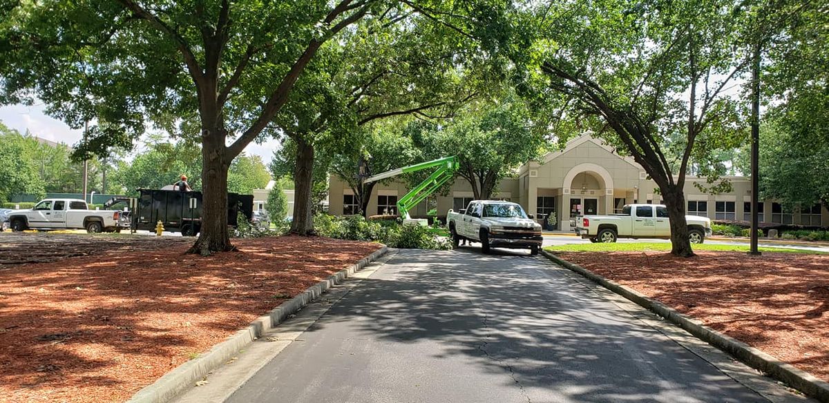 Tree Removal for Trees Unlimited of the CSRA in Augusta, GA