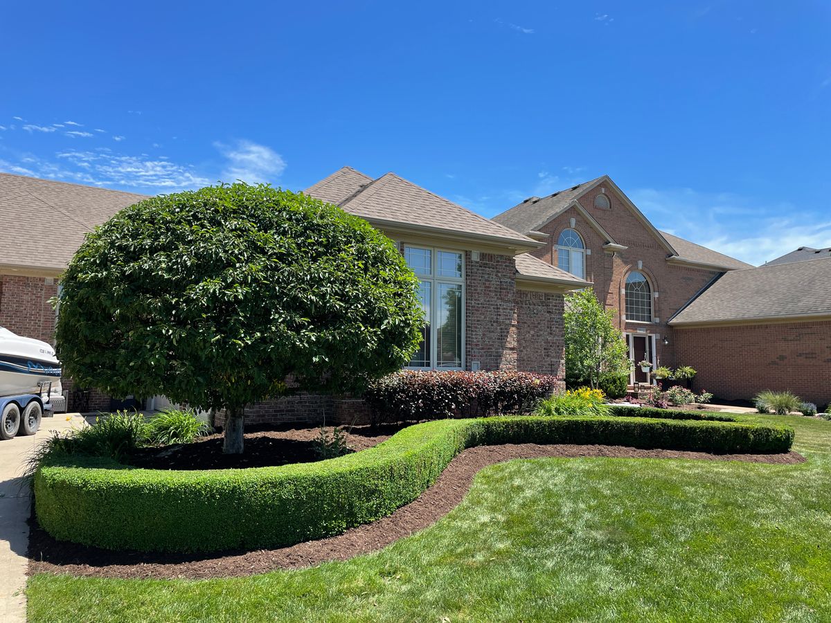 Shrub Trimming for Denali Outdoor Services in Washington, MI