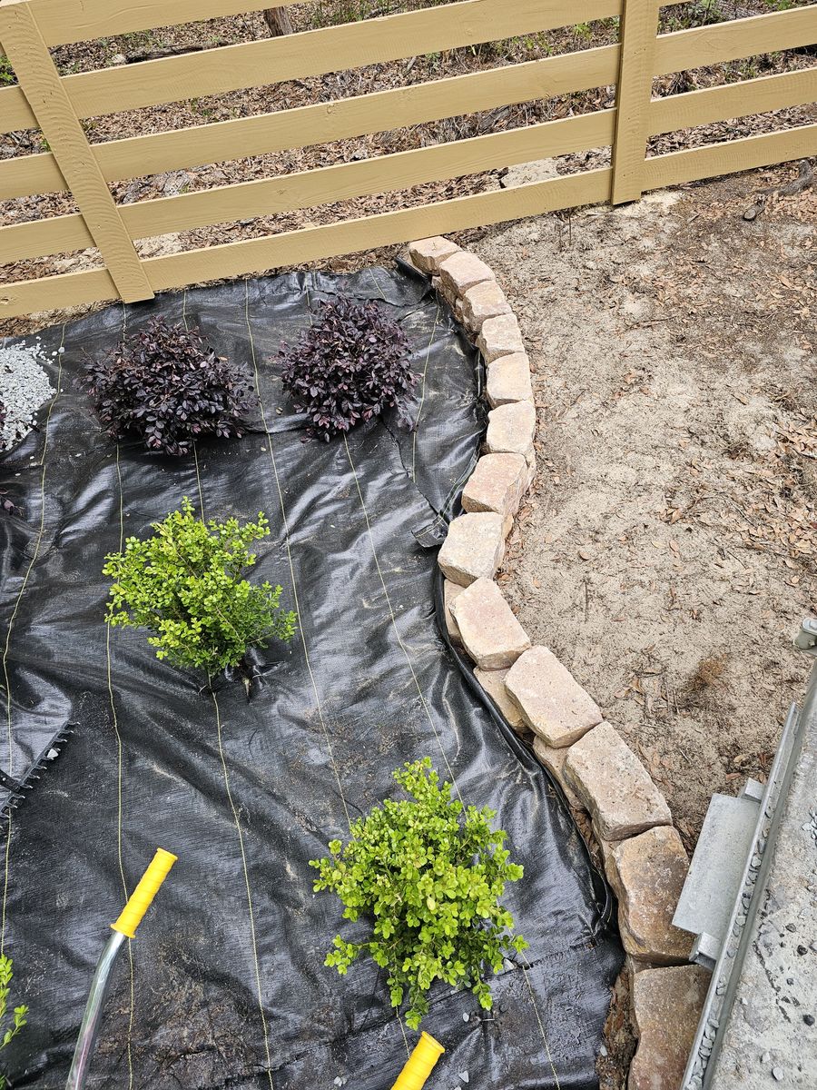 Tree & Shrub Care for Deeper Roots Landscape in High Springs, FL