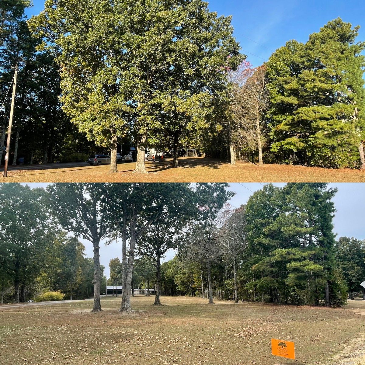Tree Trimming for Ross Family Tree Service LLC  in Hohenwald, TN