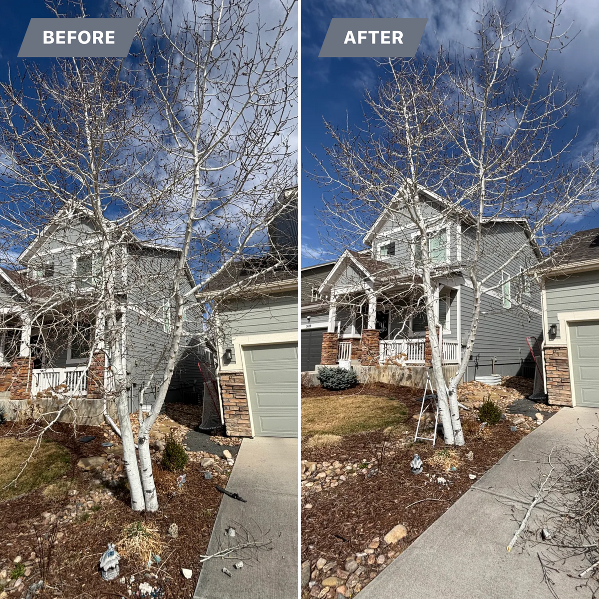 Tree Trimming for Graham’s Tree Services in Pierce, CO