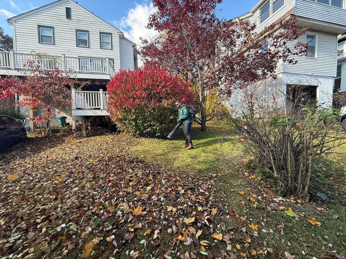 Fall & Spring Maintenance for Ardisi Property Maintenance LLC in Poughkeepsie, NY 