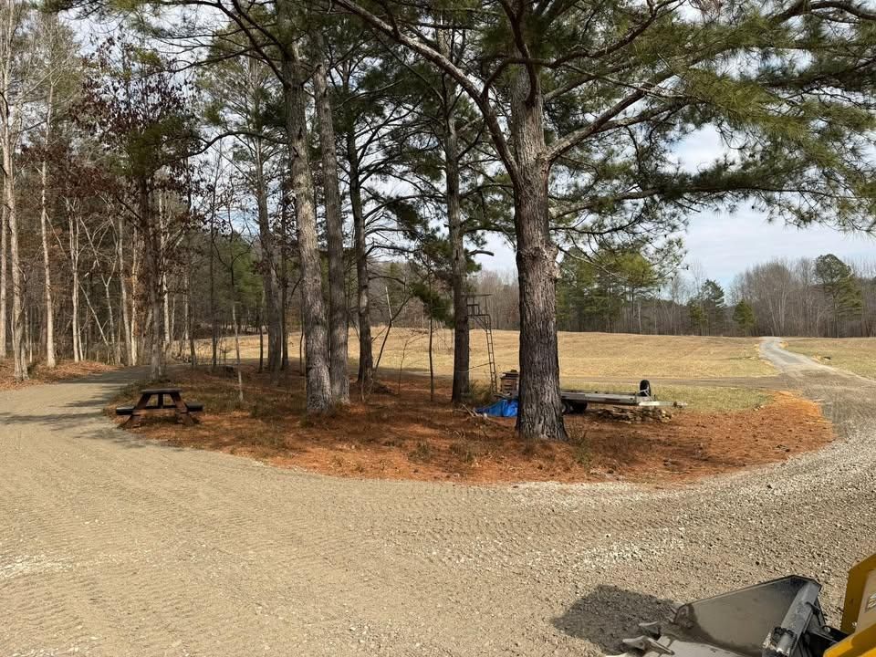 Property Grading for Collins Constructors in Fyffe, AL