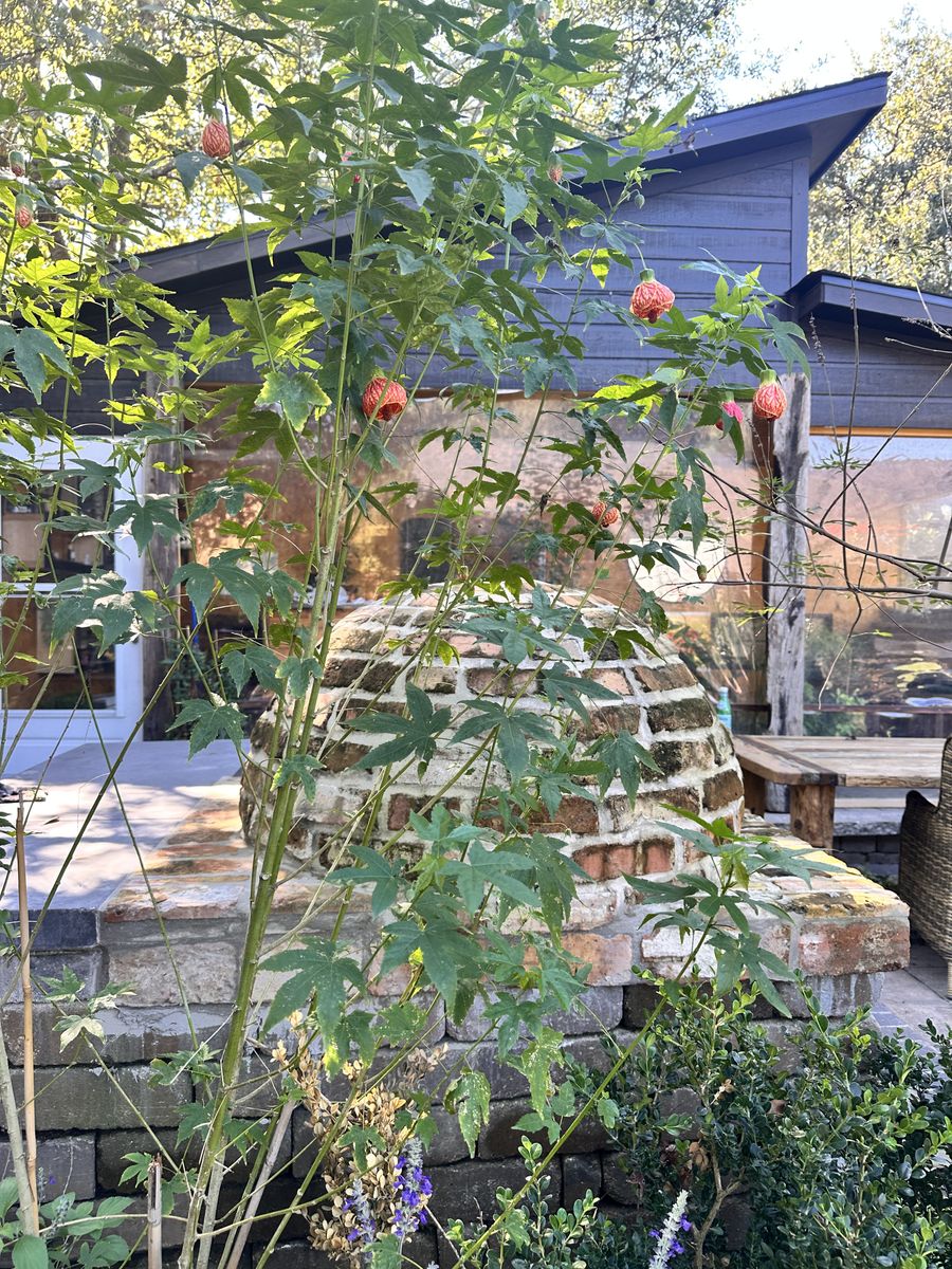 Hardscaping for Atlas Land Design in Creekside Park, TX