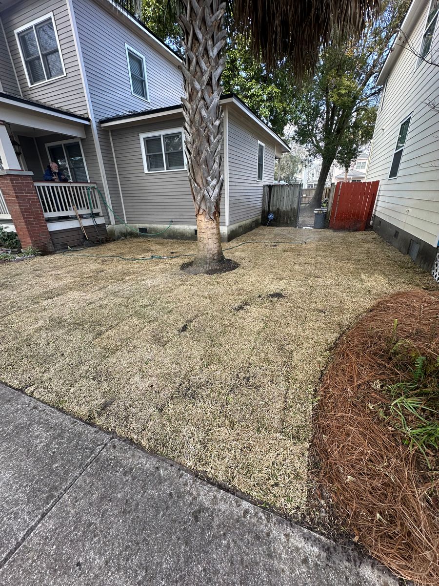 Sod installation for Coastalscapes Landscaping & Turf Management  in Savannah, GA