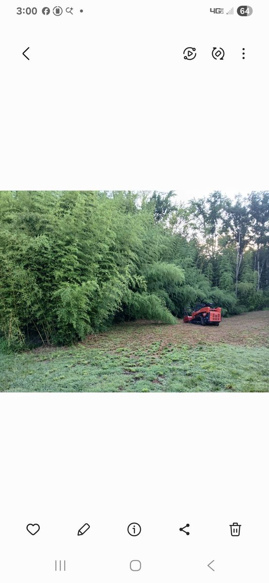 Skid Steer Work for Whiskey Ridge Mulching & Land Services in South Boston, VA