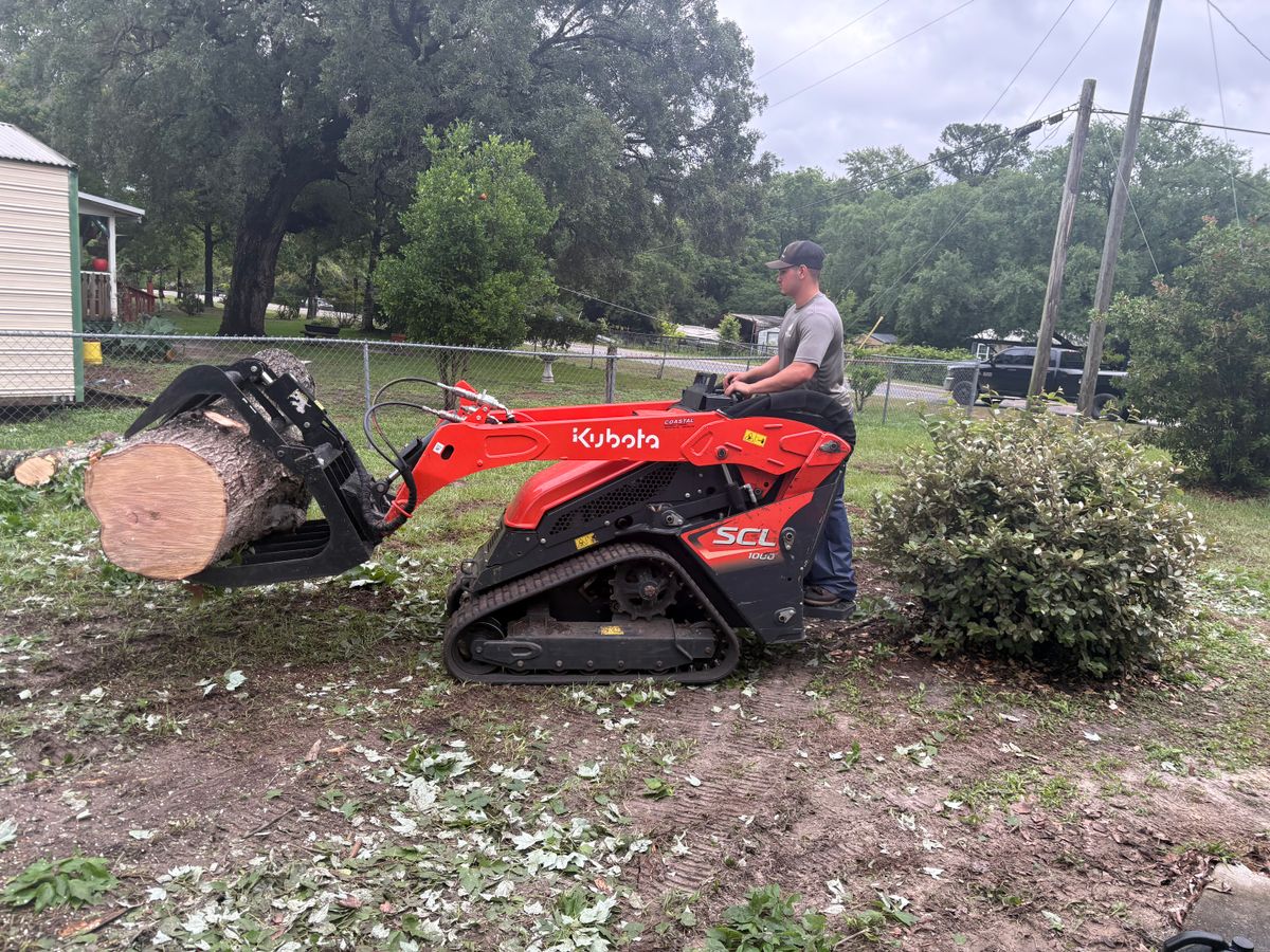 Fall Clean Up for Top Notch Tree Experts in Orange Park, FL