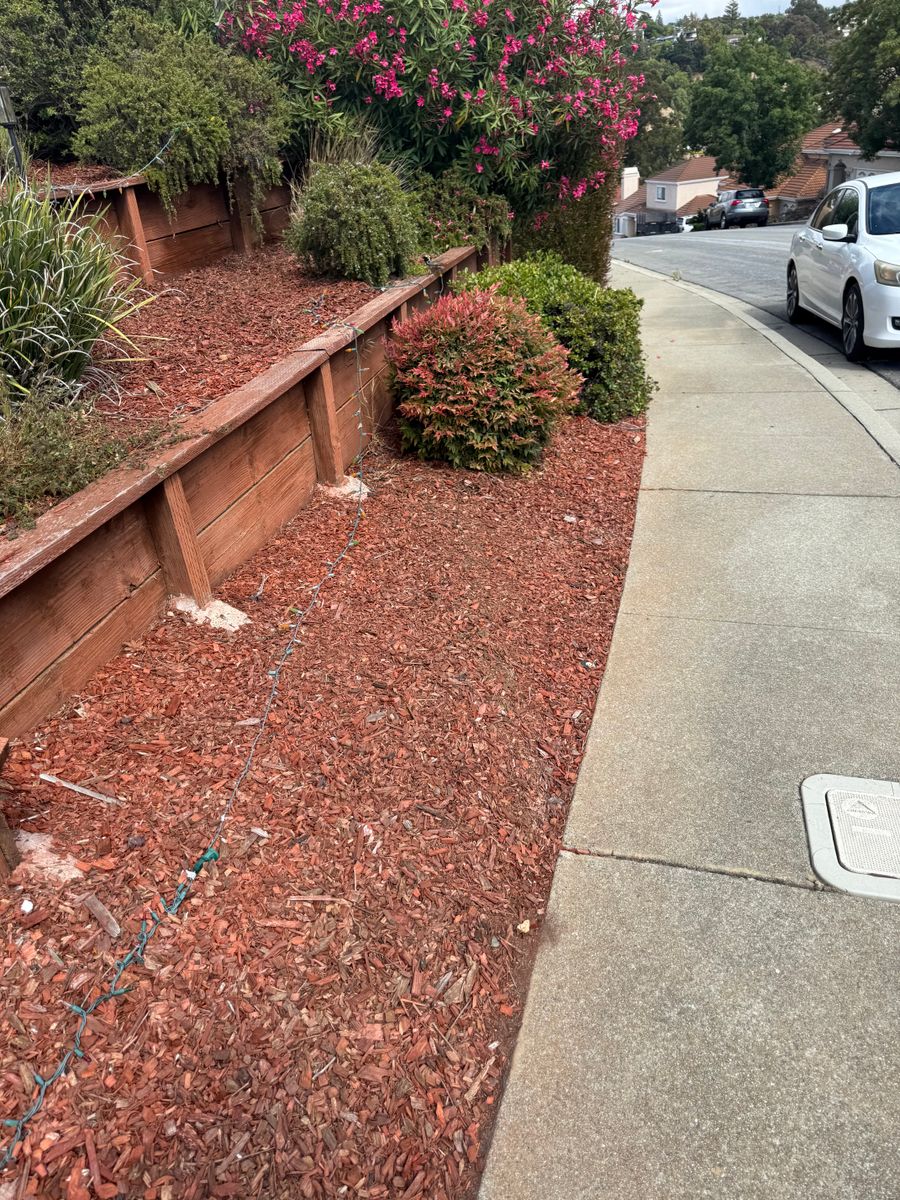 Mulch Installation for CBA Landscaping in Hayward, CA