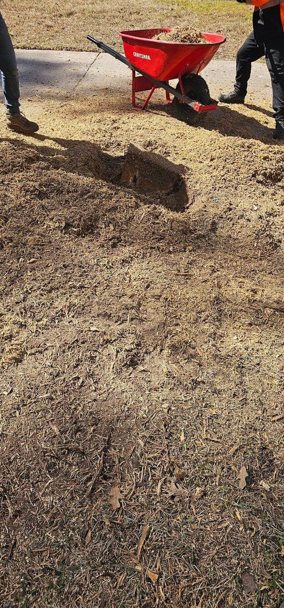 Fall Clean Up for Servin's Tree Care  in Houston, TX