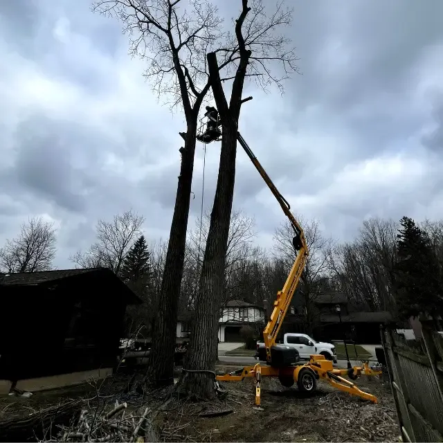 Tree Trimming for Huntsville Tree Service in Huntsville, AL