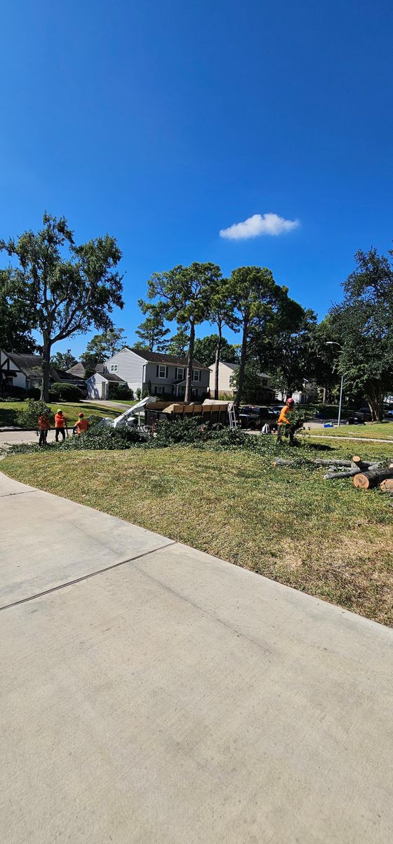 Fall Clean Up for Servin's Tree Care  in Houston, TX