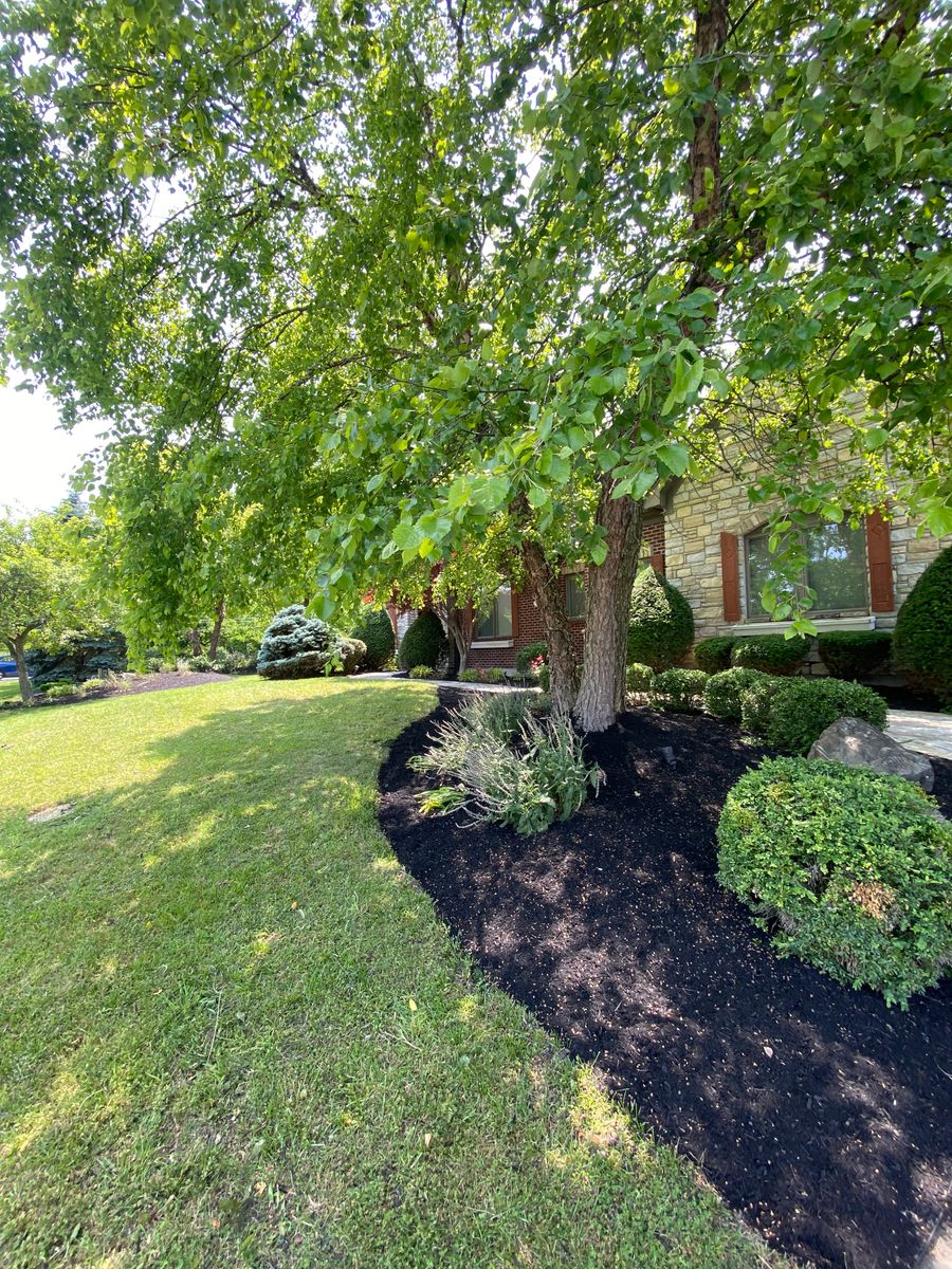 Mulching for Castle JR Landscaping & Painting LLC in Cincinnati, OH