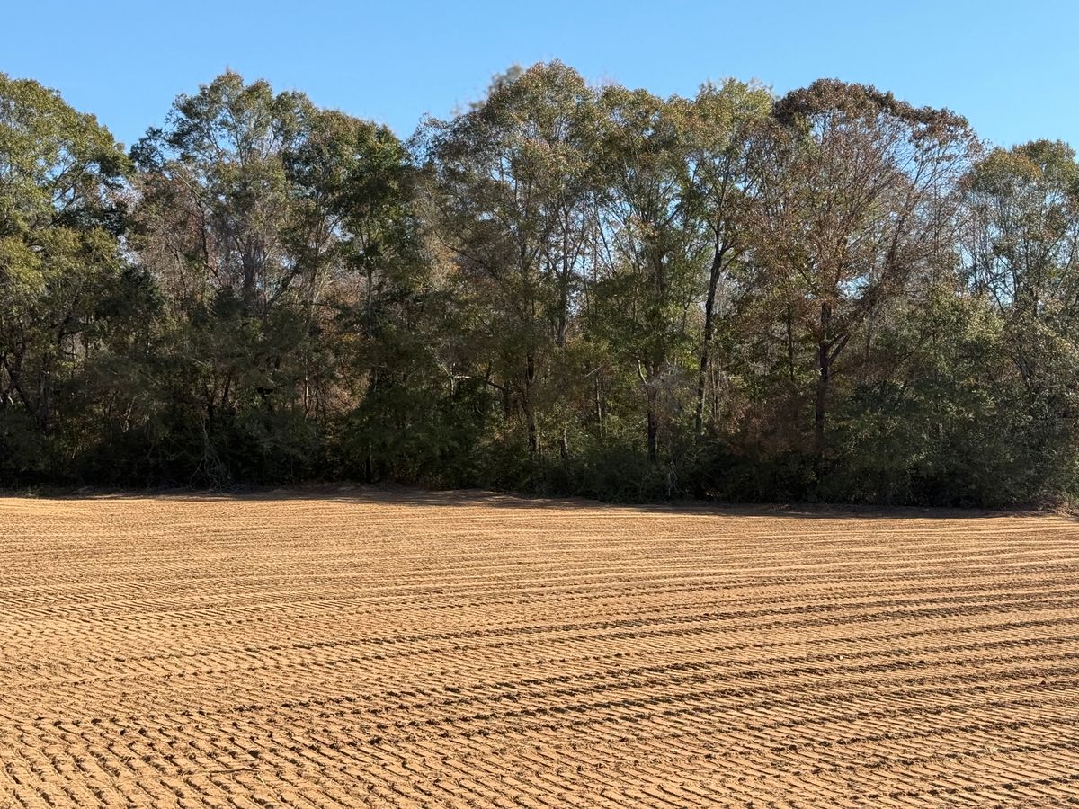 Land Clearing & Demolition for Central Alabama Site Works in Selma, AL