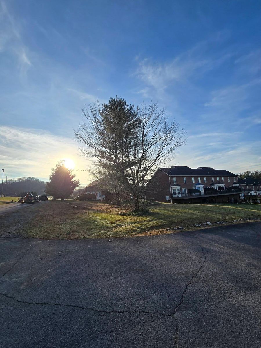 Tree Removal for M&L Lumber and Excavating in Jonesborough, TN