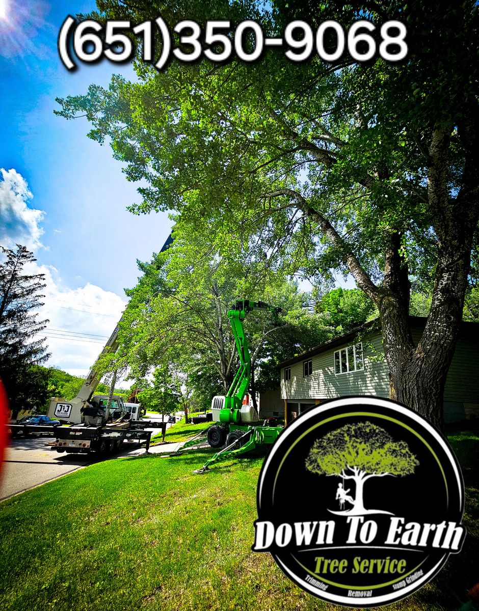 24-7 Emergency Tree Removal for Down To Earth Tree Service in Red Wing,  Minnesota