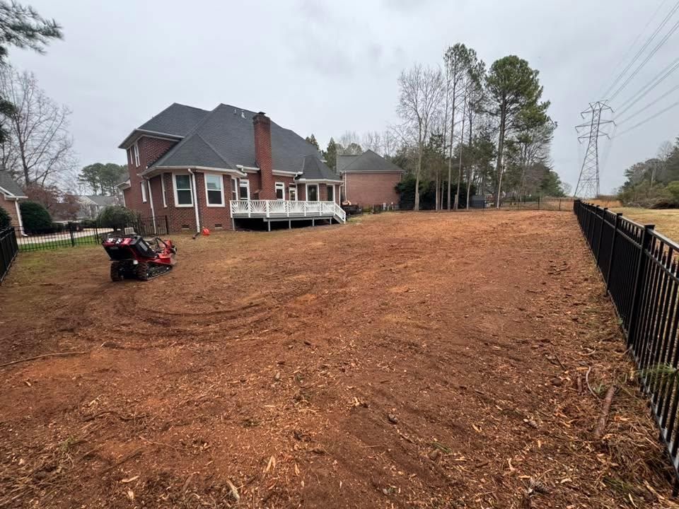 Tree Removal for Pedro's Tree Removal in Charlotte, NC