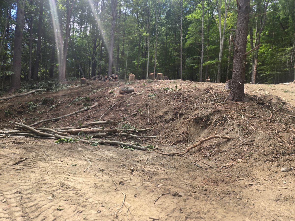 Land Clearing for MJS Excavating in Hardwick, MA