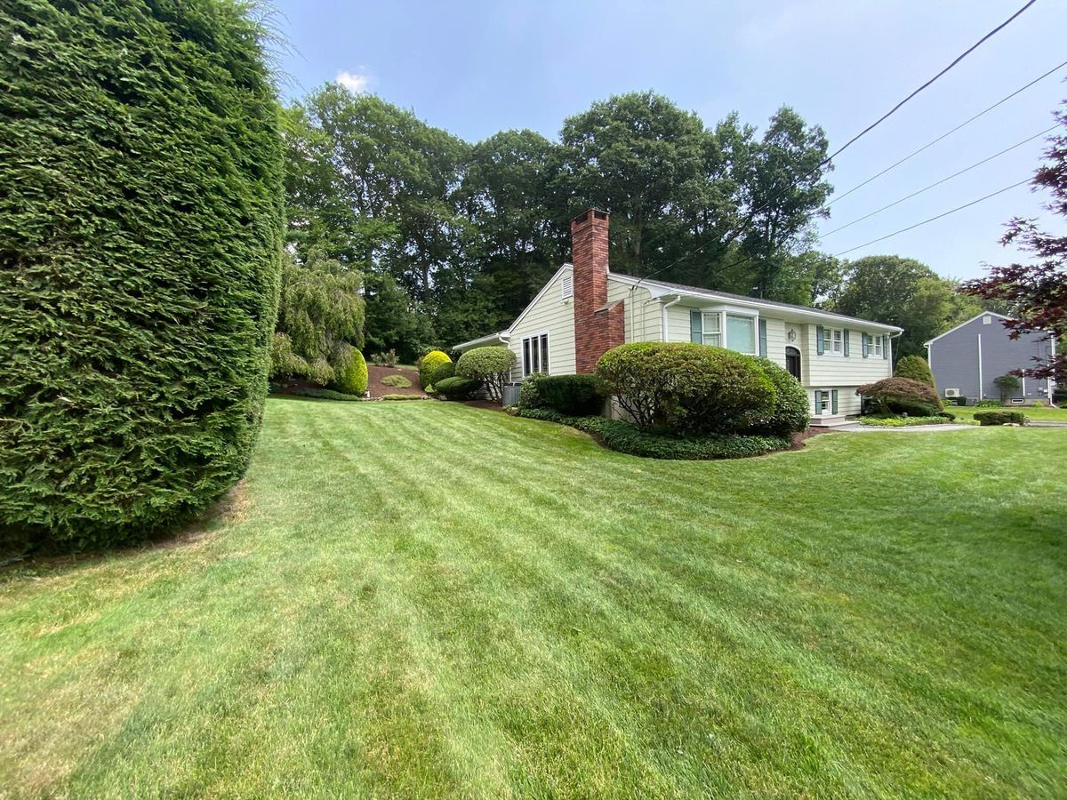 Seasonal Pruning & Shaping for Ace Landscaping in Trumbull, CT