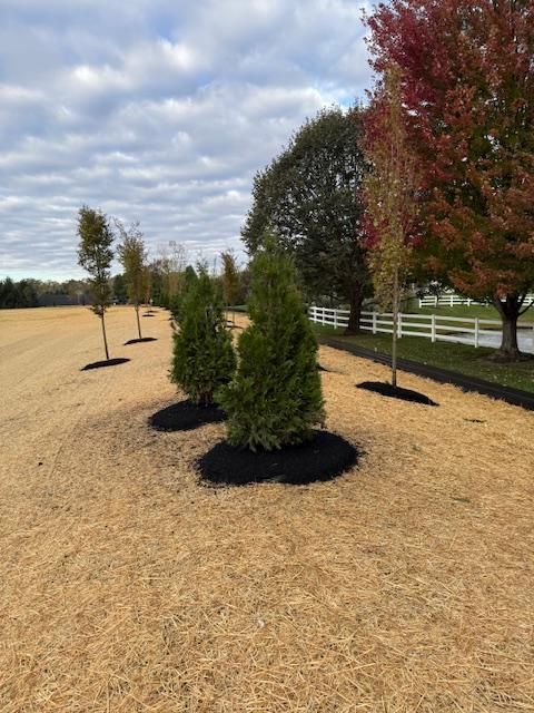 Commercial Landscaping for Norvell's Turf Management, Inc in Middletown, OH