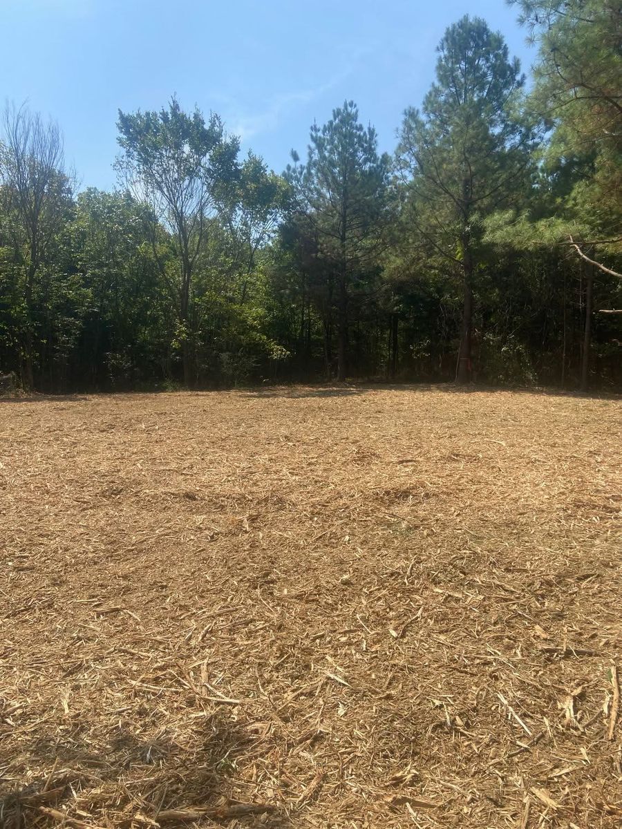 Forestry Mulching for Simmons land works in Sardis,, TN