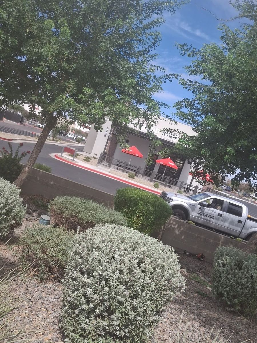 Commercial Property Groundskeeping for Family Landscaping in Phoenix, AZ