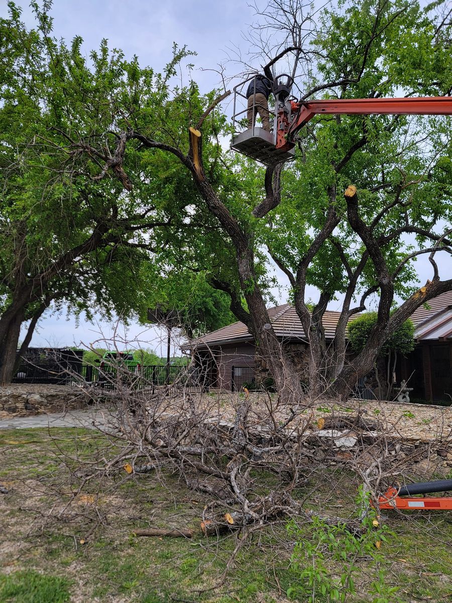 Lawn Maintenance for RACSO RDZ LLC in McKinney, TX
