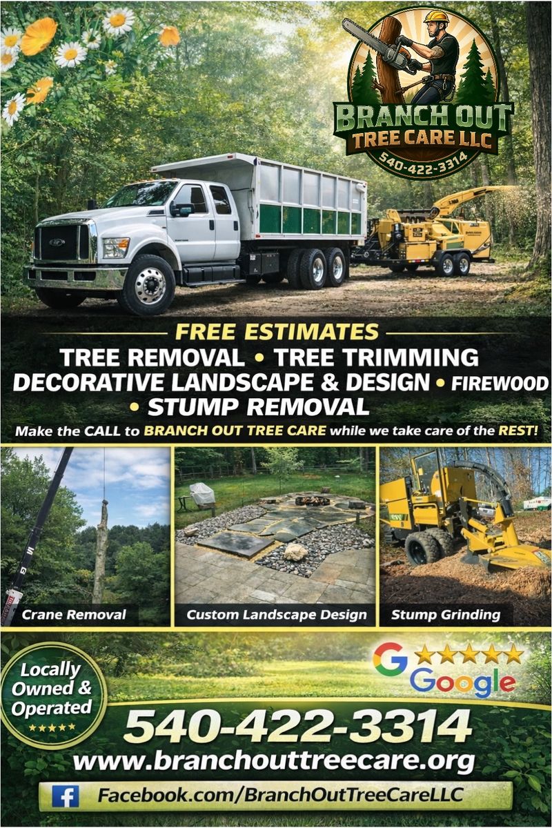 Tree Trimming for Branch Out Tree Care LLC in Fredericksburg, VA