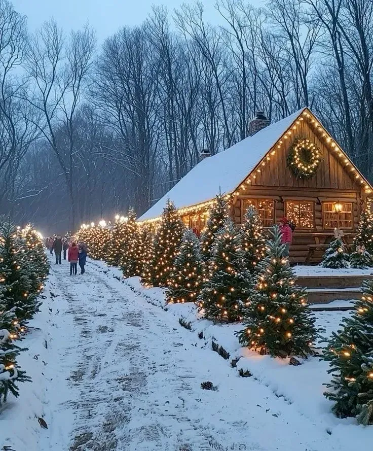 Holiday Light Installation for Amazing Christmas Lights in Magnolia, TX