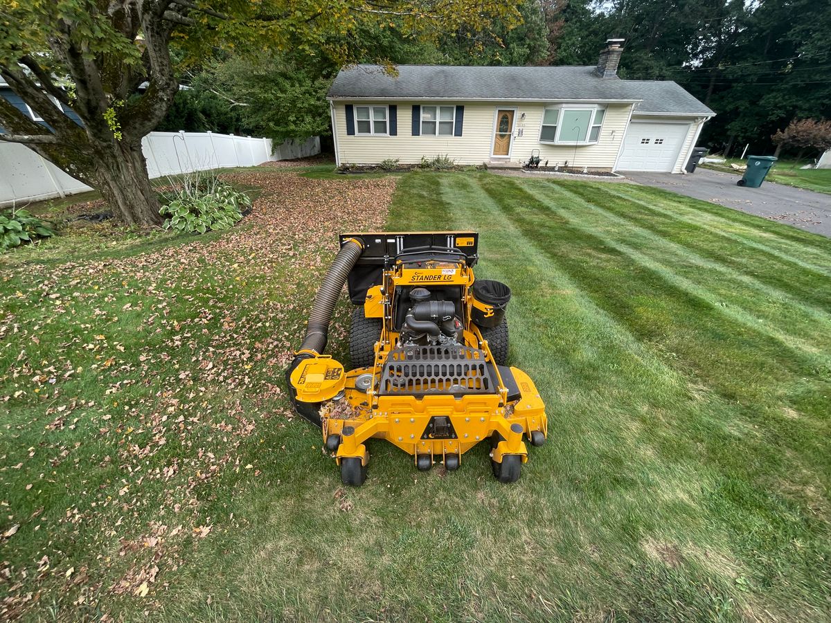 Fall Clean Up for Blades of Glory LLC in Cheshire, CT
