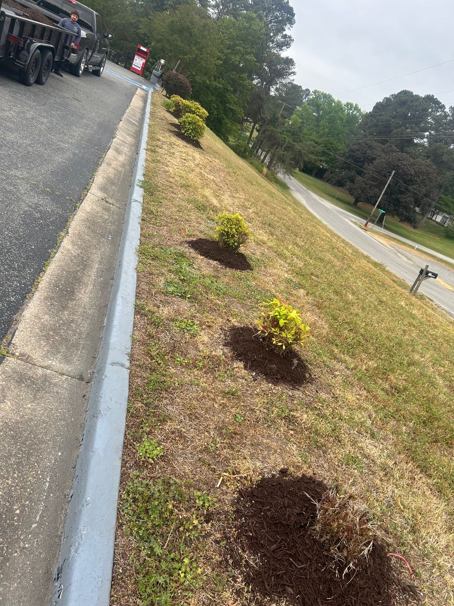 Shrub and Plant Trimming for The Whole 9 Yards Landscape VA in Heathsville, VA