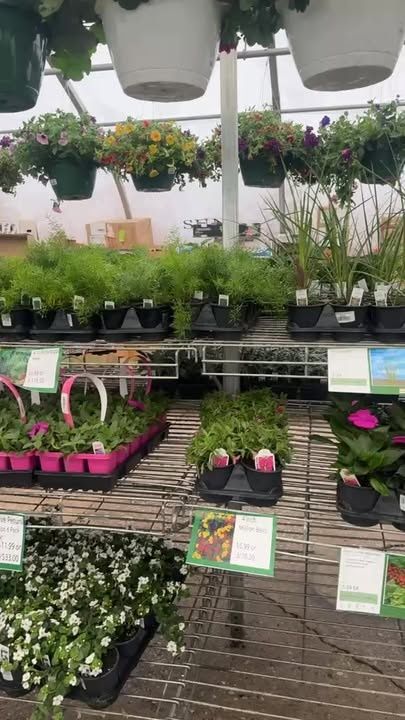 Gardening for Mayfield Landscaping in Staunton, IL