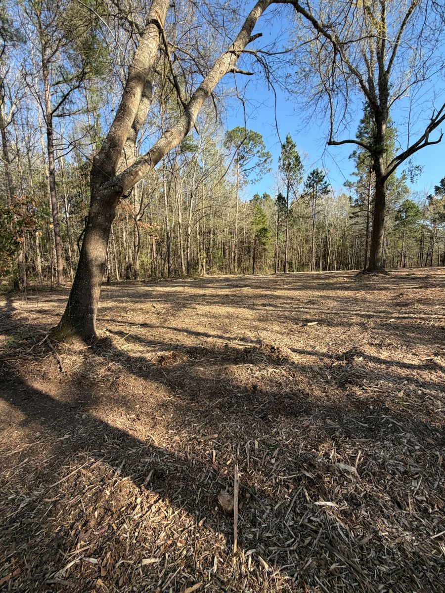 Forestry Mulching for 903 Mulching in East Mountain, TX