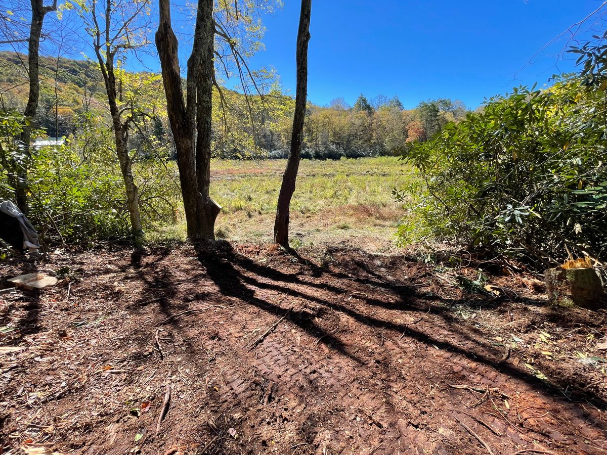 Land Clearing for A & A Land Management in Elizabethton, TN