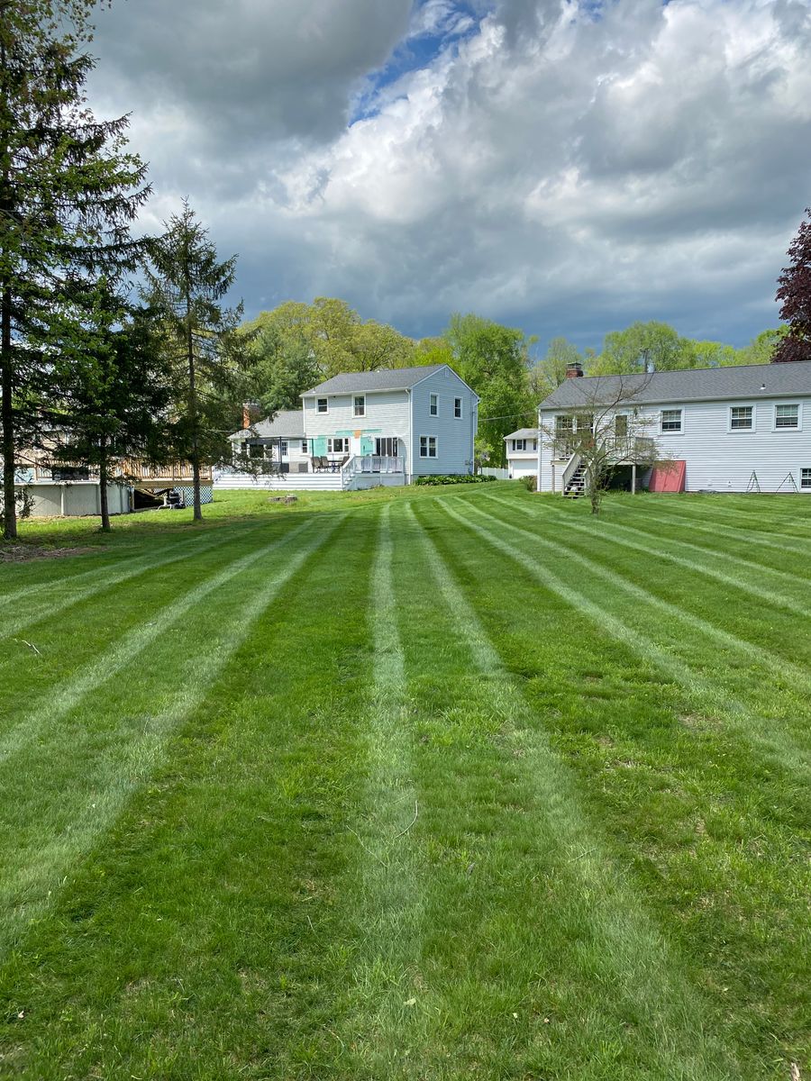 Lawn Maintenance for Stevenson Property Maintenance in Cheshire, CT