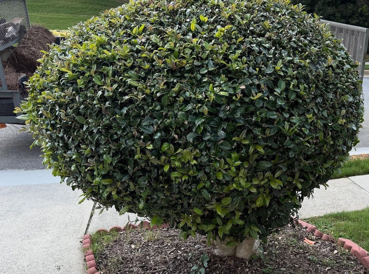 Landscaping Design for Two Brothers Landscaping in Atlanta, Georgia