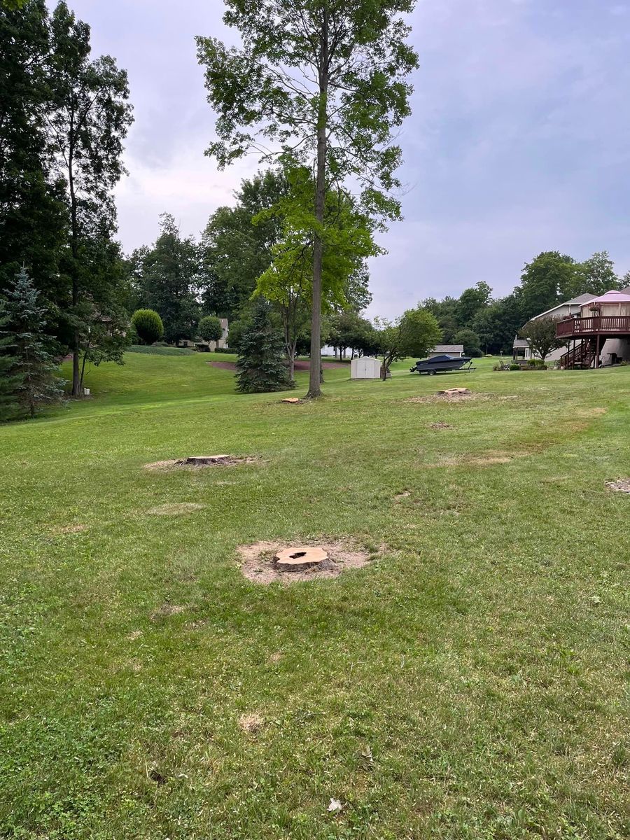 Stump Removal for J&E Tree & Excavation Services in Sandy, PA