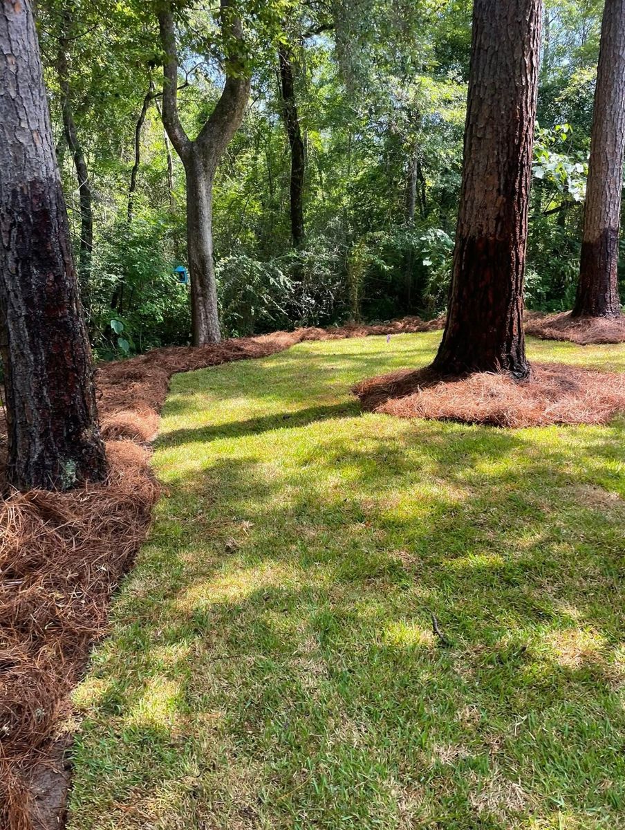 Landscape Maintenance for Enhanced Landscape in Daphne, AL