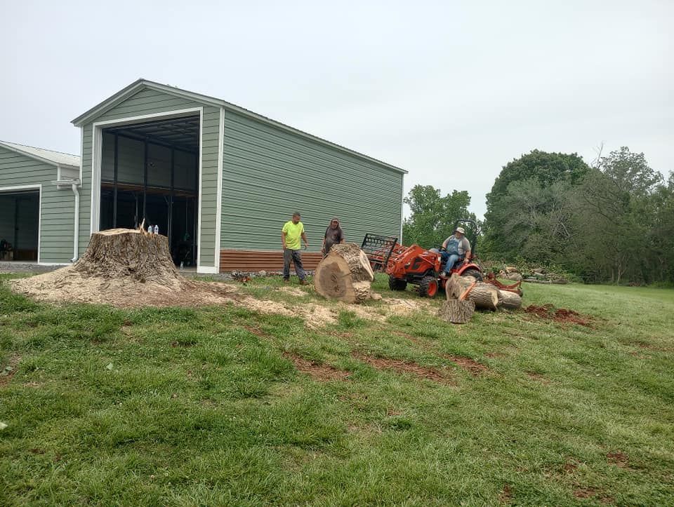 Tree Removal for Backwoods Tree Experts in Hickory, NC