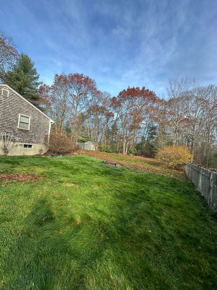 Tree Trimming for Silver City Tree and Landscape in Taunton, MA