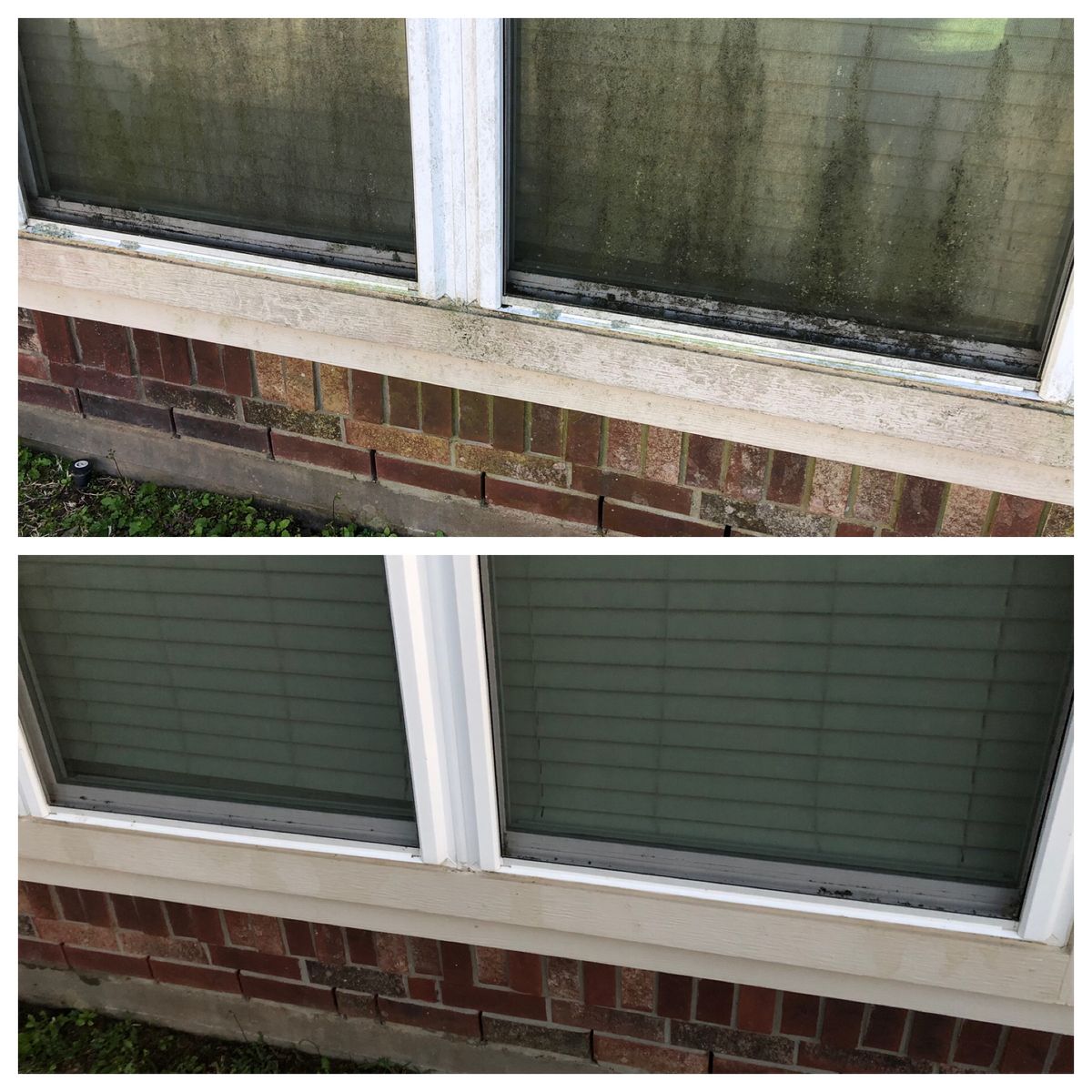 Residential Window Cleaning for Power Pressure Wash in Houston, TX