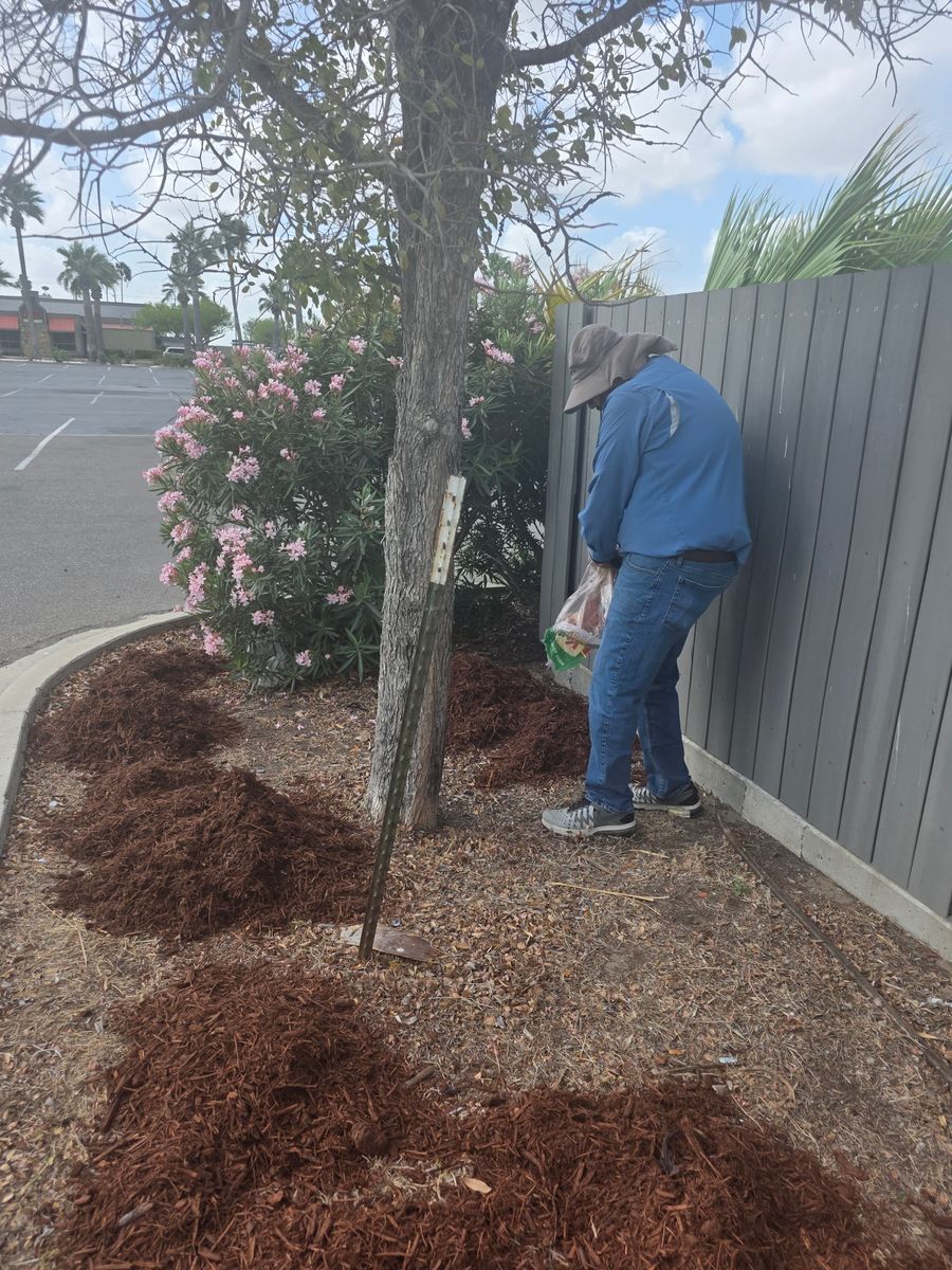 Tree & Shrub Care for Pro Lawn Care RGV in McAllen, TX