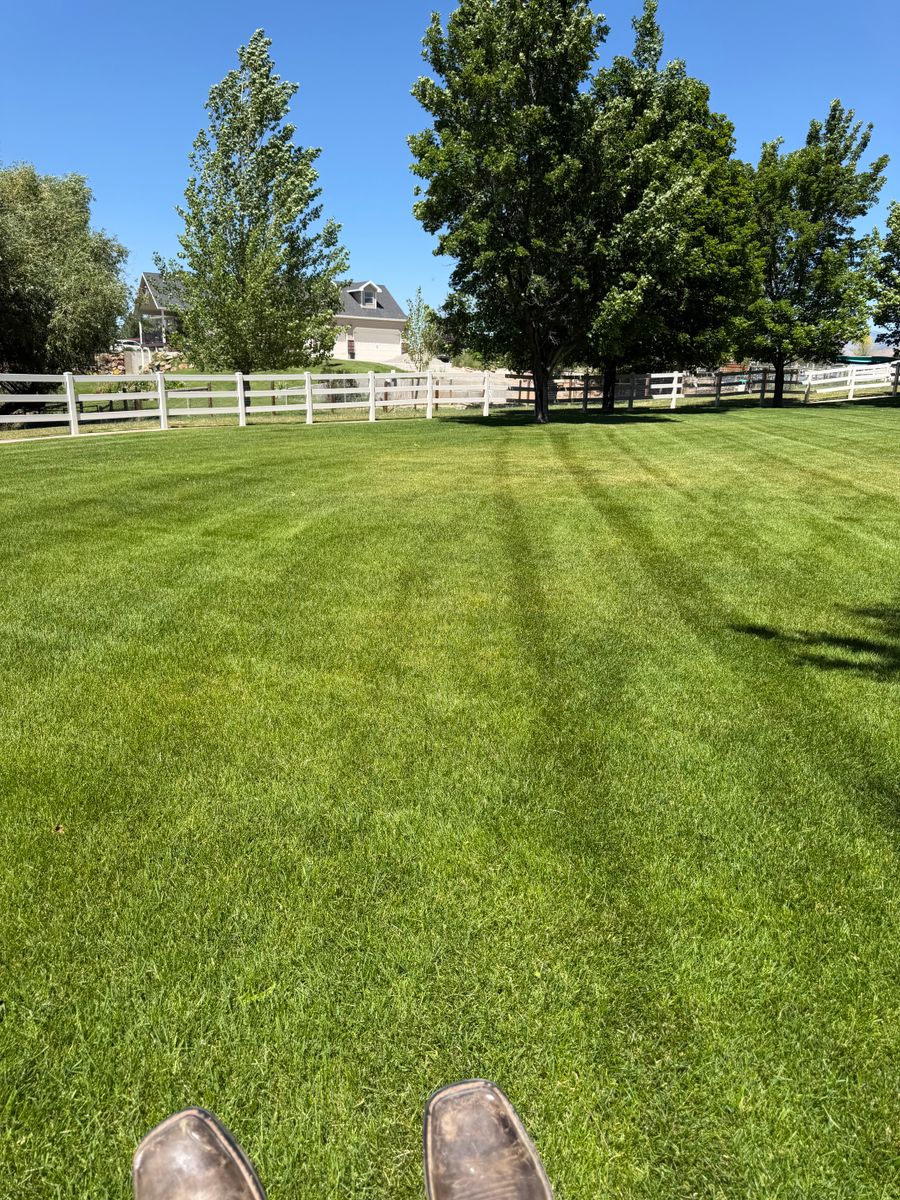Lawn Care for FTC Solutions LLC in Franklin County, ID