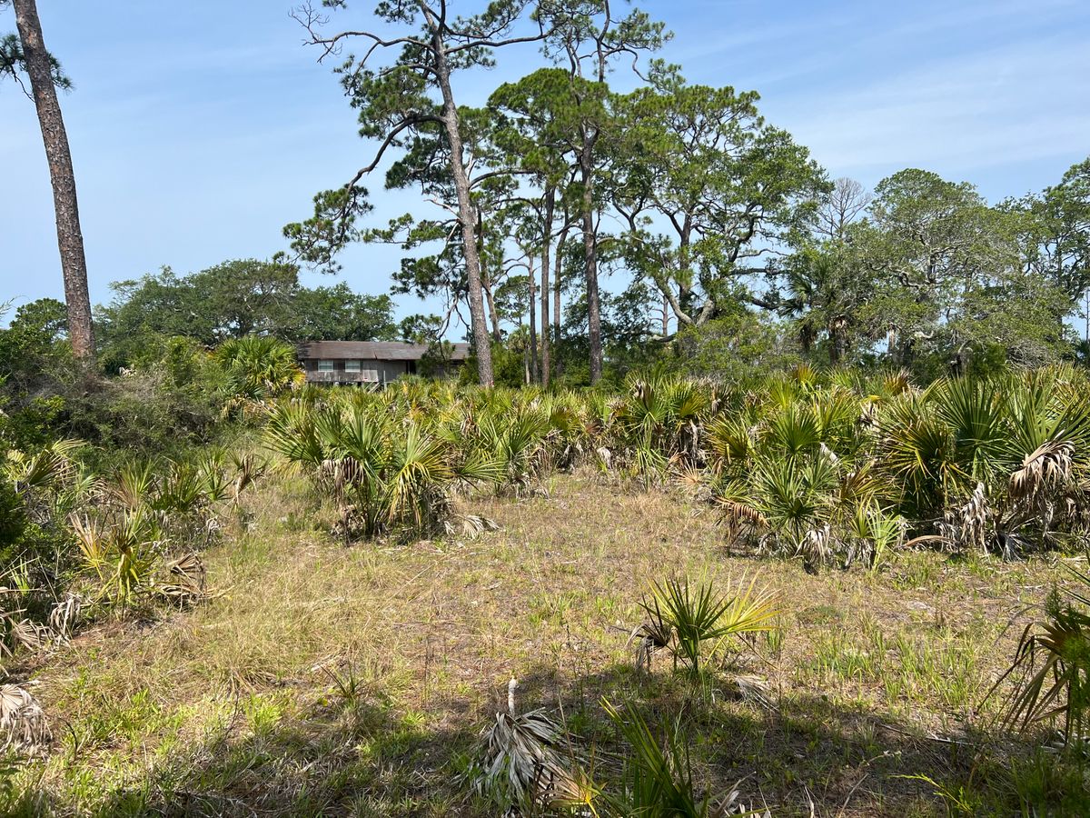 Brush cutting for Roberts Lawn & Landscape in Cross City, FL