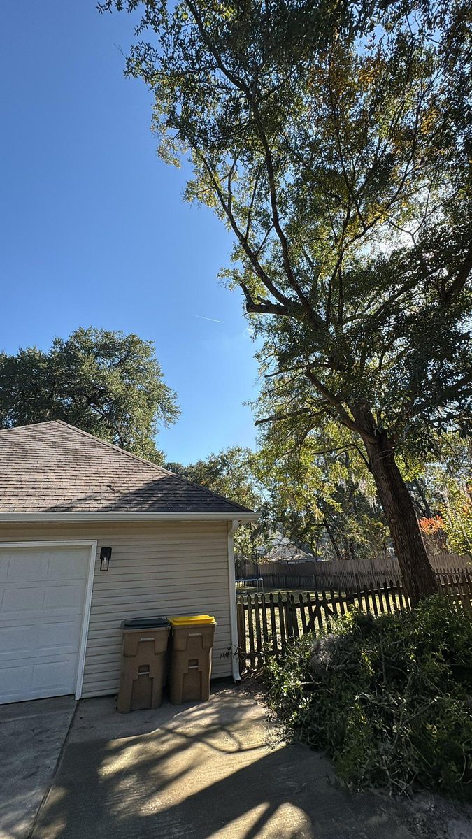 Tree Removal for Hawkins Tree Service & Land Management in Richmond Hill, GA