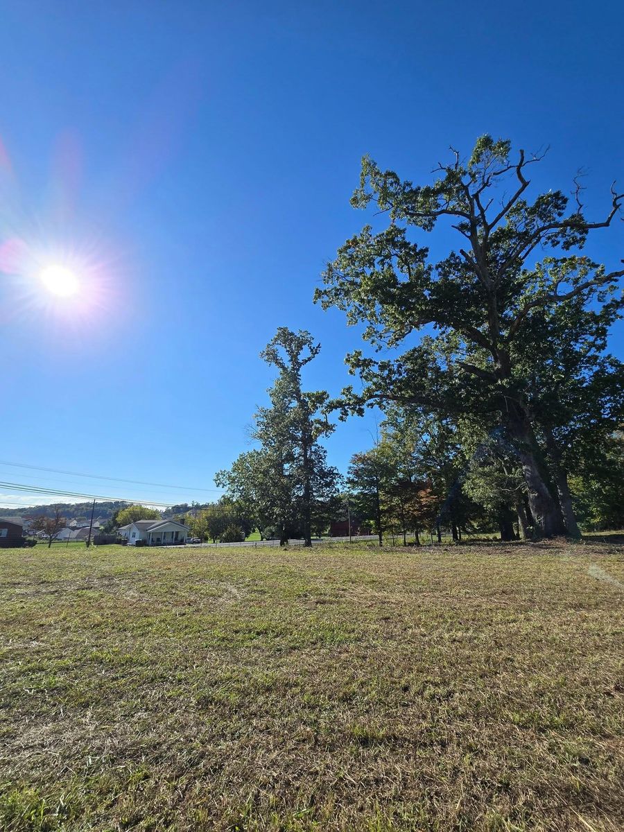 Land clearing for M&L Lumber and Excavating in Jonesborough, TN