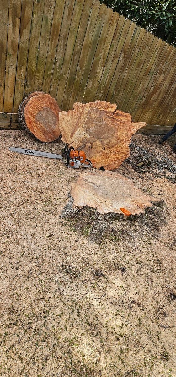 Stump Removal for Servin's Tree Care  in Houston, TX