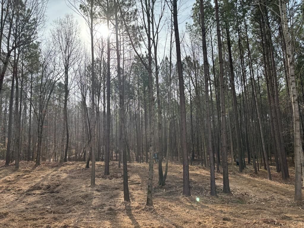 Post logging cleanup for Carolina Construction Services in Woodleaf, NC