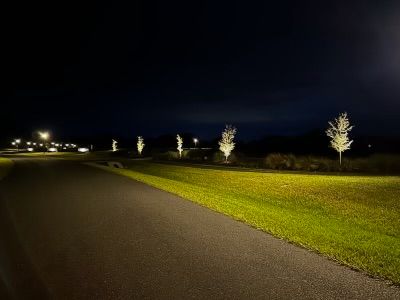 Landscape lighting for Roberts Lawn & Landscape in Cross City, FL